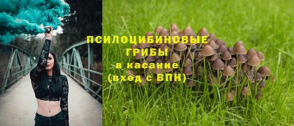 амф Белоозёрский