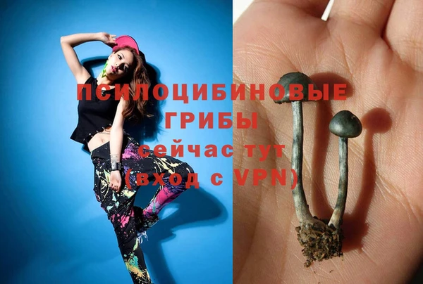 амф Белоозёрский