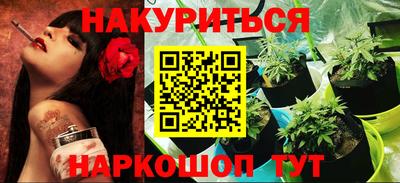apvp Кингисепп