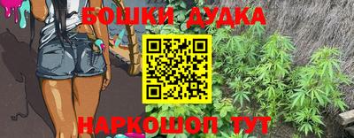 apvp Кингисепп