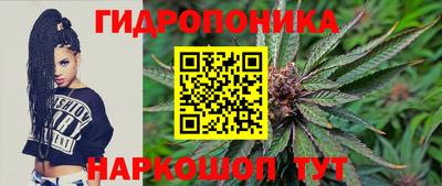 амф Кимры