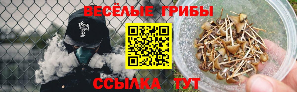 Галлюциногенные грибы мицелий Луховицы