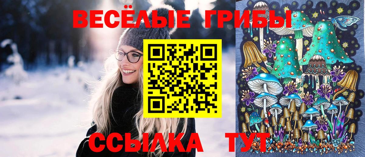 Псилоцибиновые грибы прущие грибы  Вход с VPN  Луховицы 