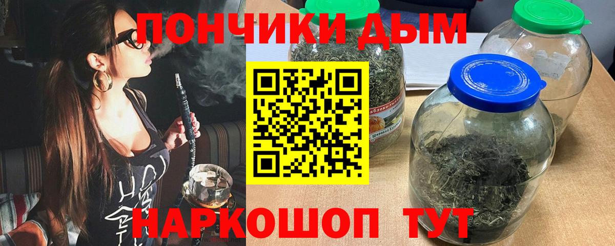 Каннабис сатива Луховицы